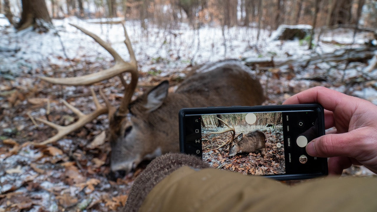Seeing Land and Habitat Management Pay Off-The King