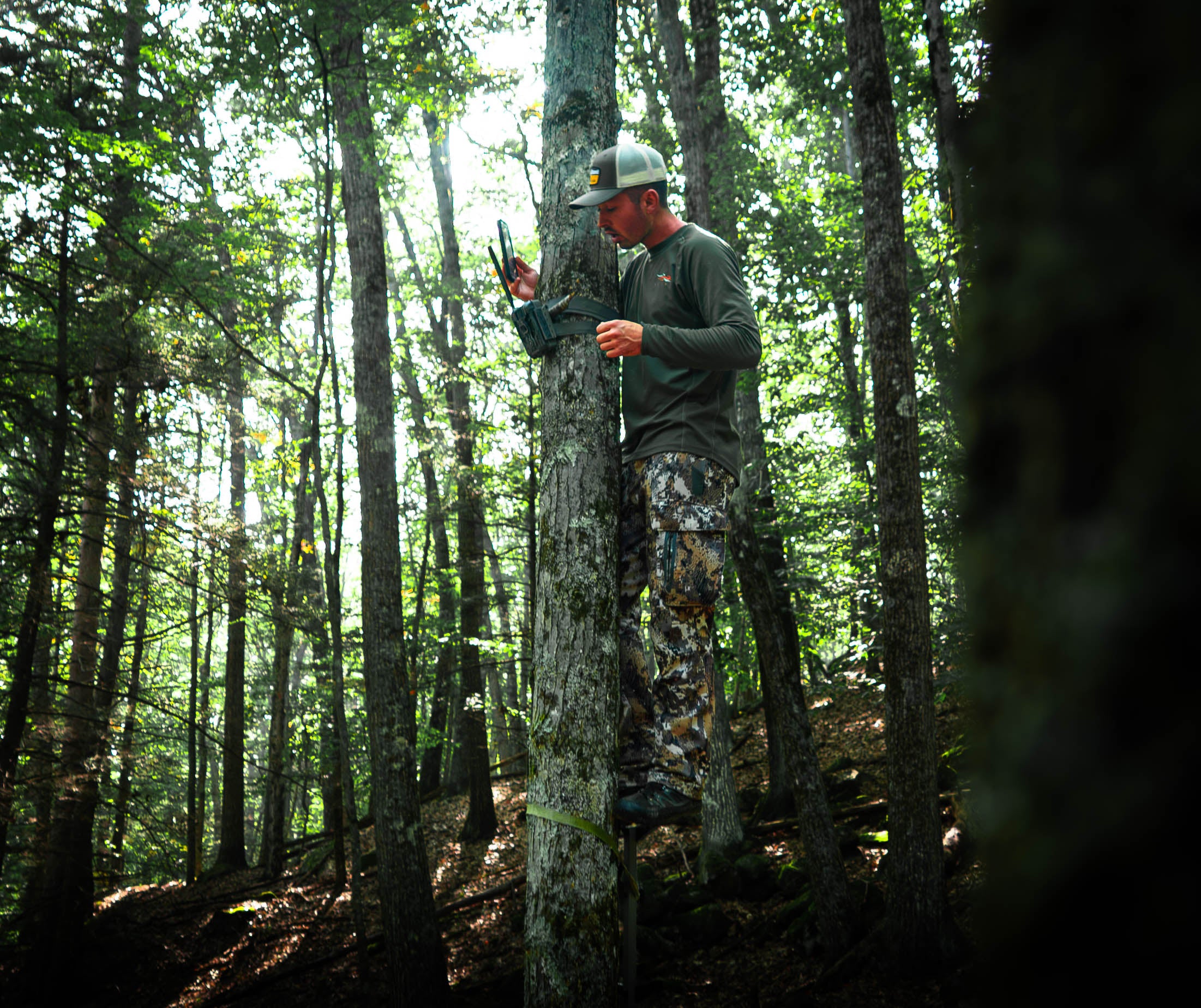 5 Places to Transition Your Cameras for Early Season Intel