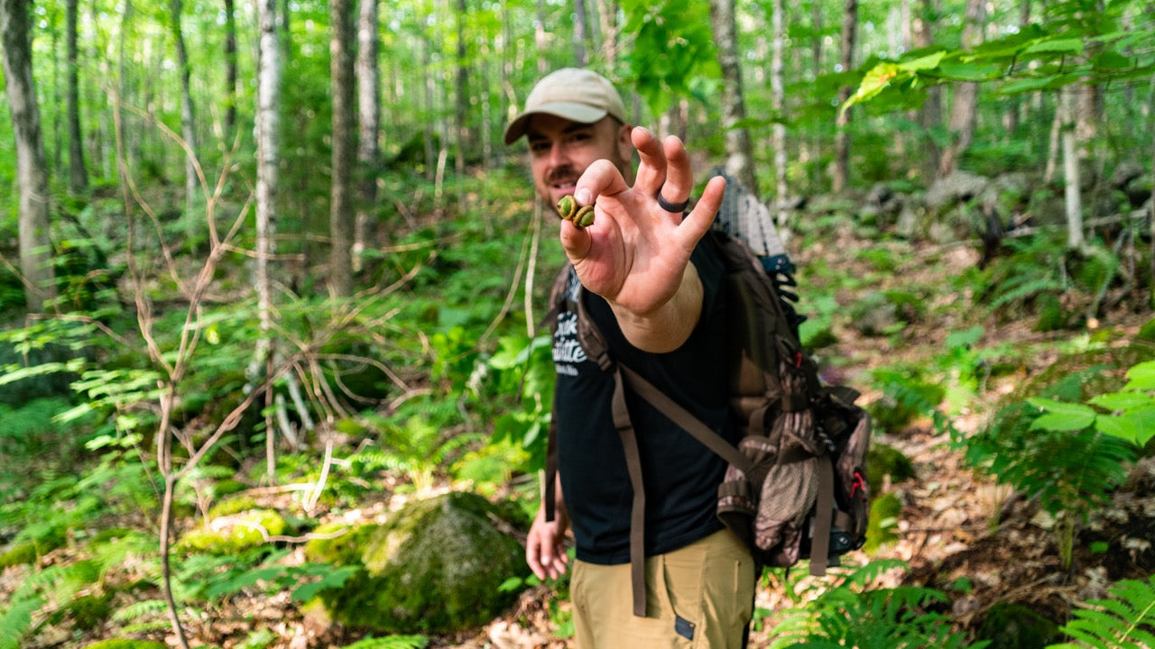 Why Consider a Hunting Lease?