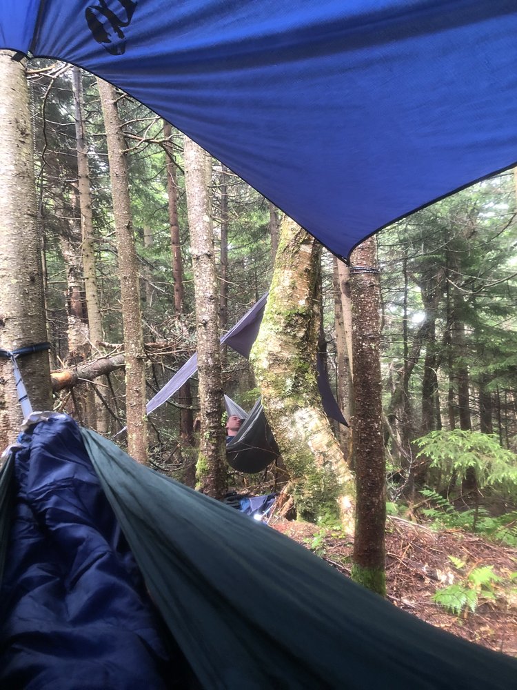 Type 2 vs. Type 1 Fun