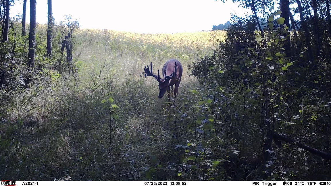 What Makes a Guided Hunt Amazing?