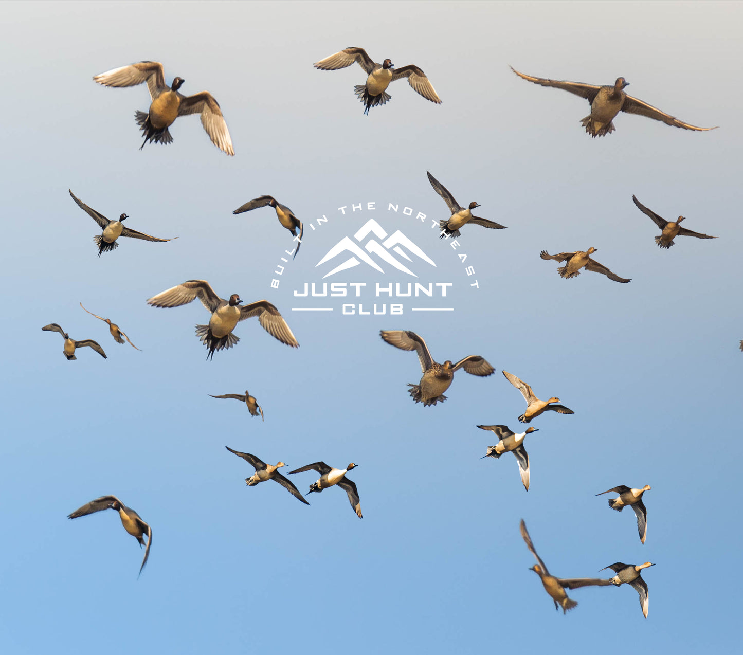 20 oz.  Custom Decal Skinny Tumbler