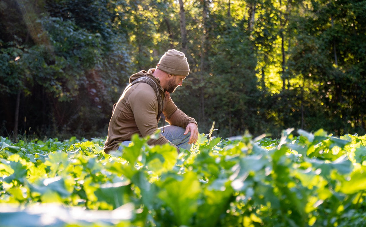 Planting Late Summer Food Plots | Tips for Preparing a GOOD Seedbed ...
