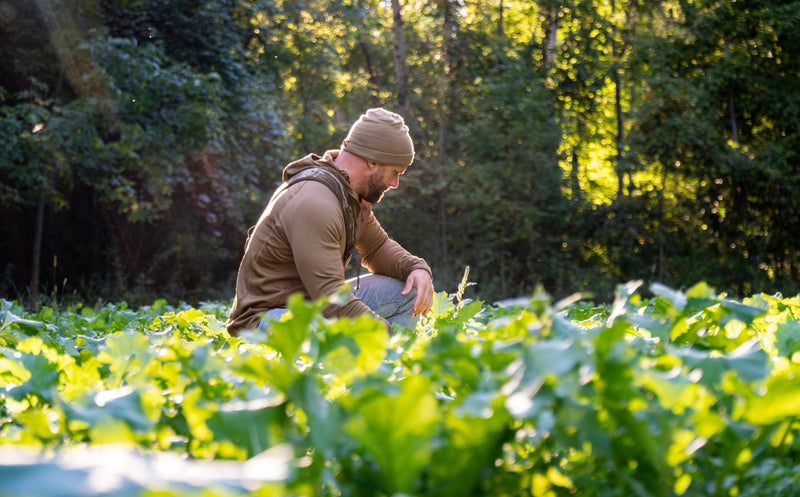 Planting Late Summer Food Plots | Tips for Preparing a GOOD Seedbed