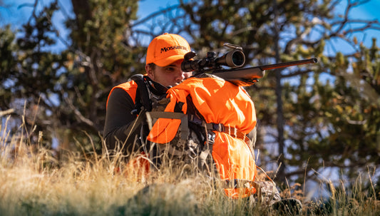 Elk Hunting: Archery vs. Rifle